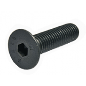 DIN 7991 Винт М3х10 пот. с внутренним 6гр 10.9 бп (INB)